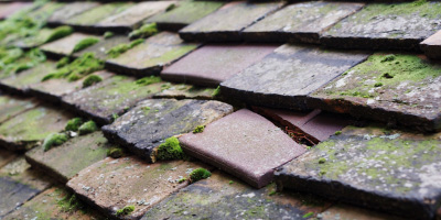 Kings Ripton roof repair costs